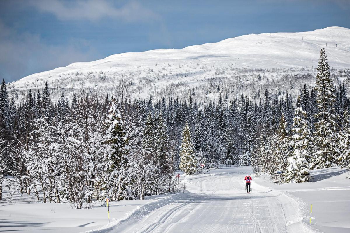 Koeja Fjaellhotell Edsasdalen Экстерьер фото