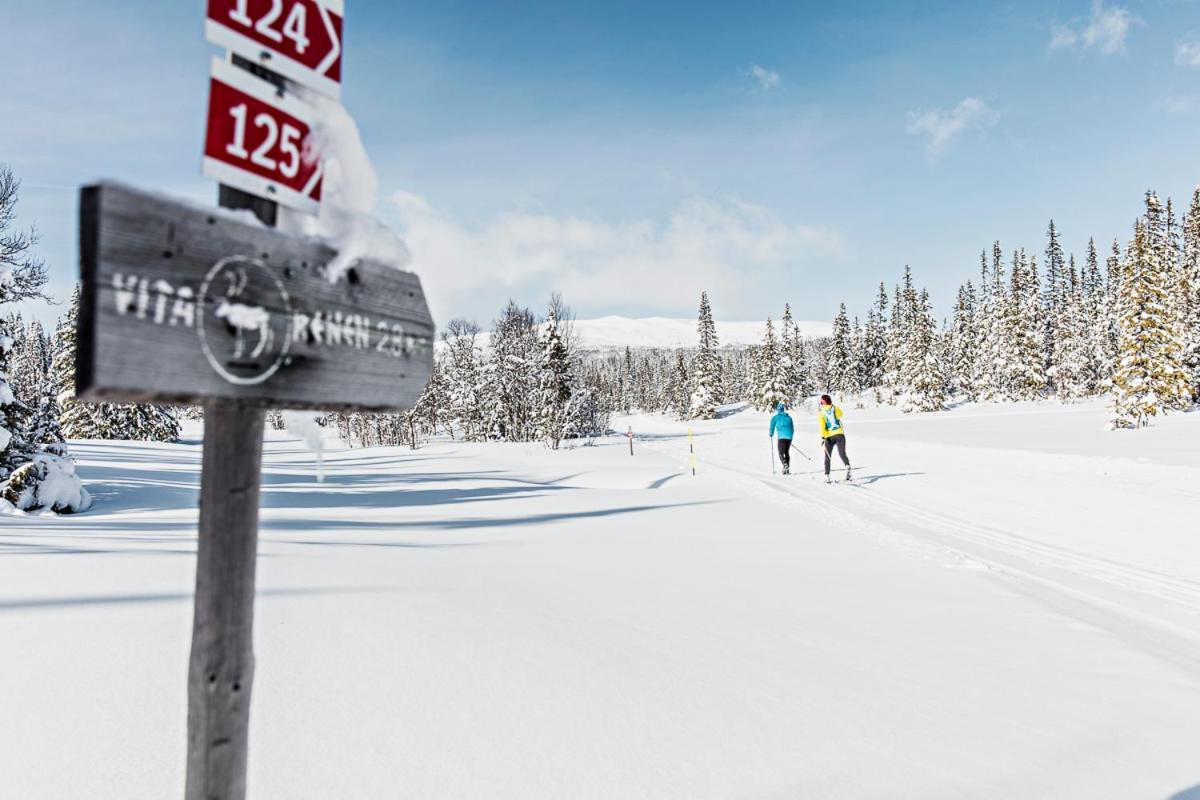 Koeja Fjaellhotell Edsasdalen Экстерьер фото