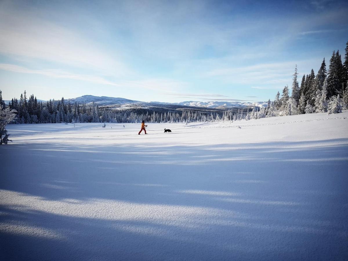 Koeja Fjaellhotell Edsasdalen Экстерьер фото
