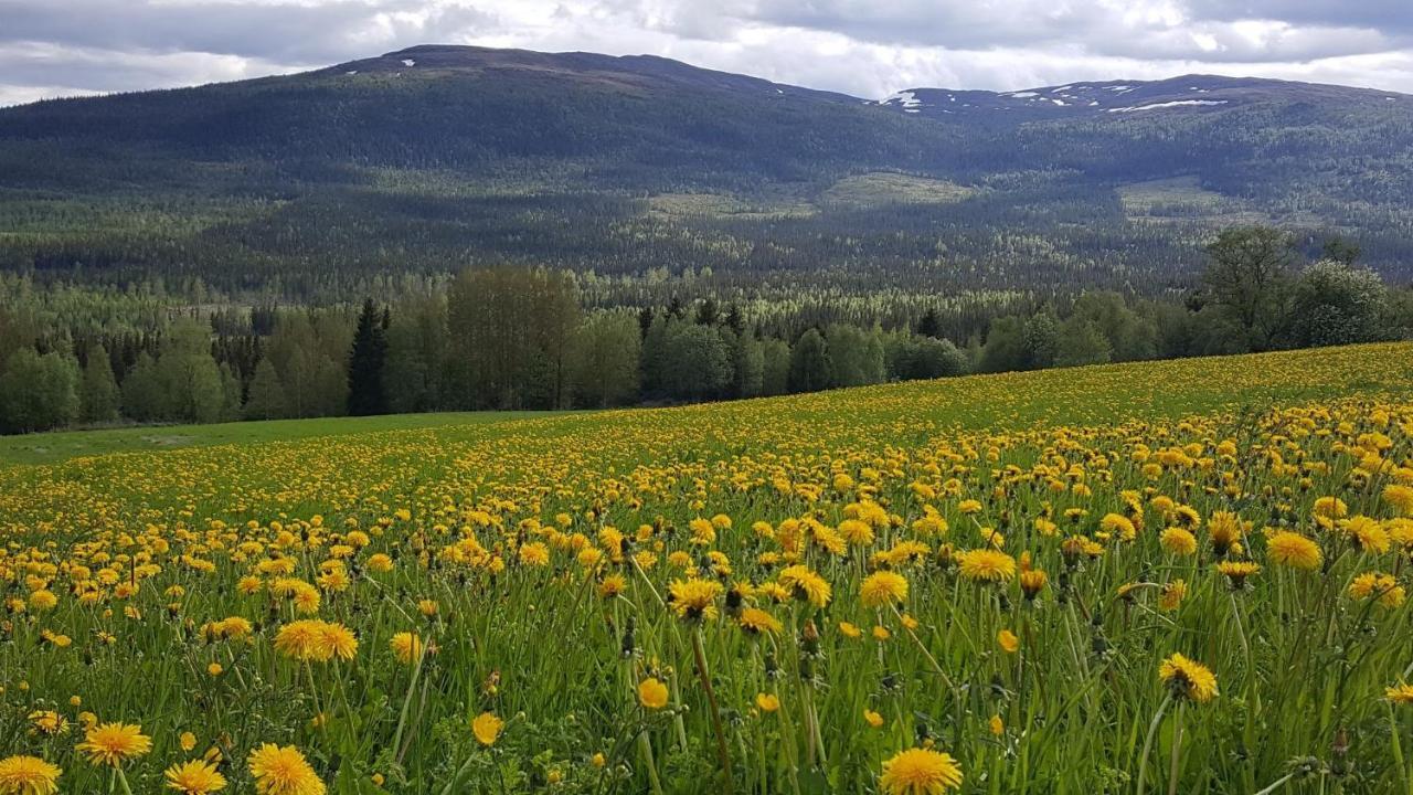 Koeja Fjaellhotell Edsasdalen Экстерьер фото
