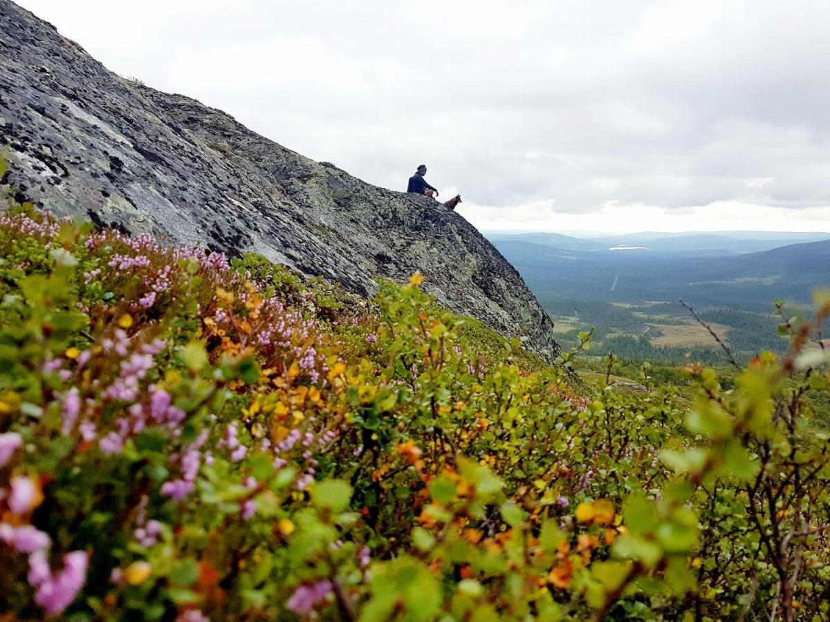 Koeja Fjaellhotell Edsasdalen Экстерьер фото